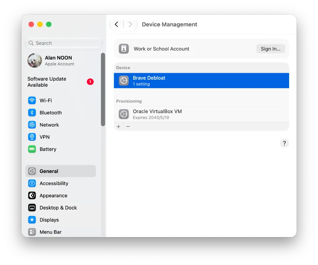 系统设置中的 Brave Debloat 描述文件